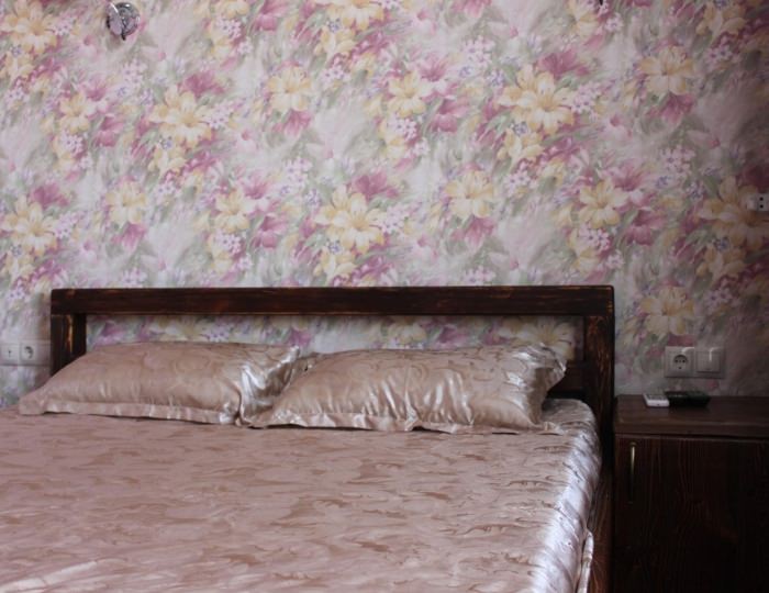 Комната эконом с 1 двуспальной кроватью - Гостевой дом «Островок» Красный Пахарь