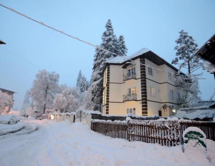 Гостиница Gold Star / Голд Стар Домбай