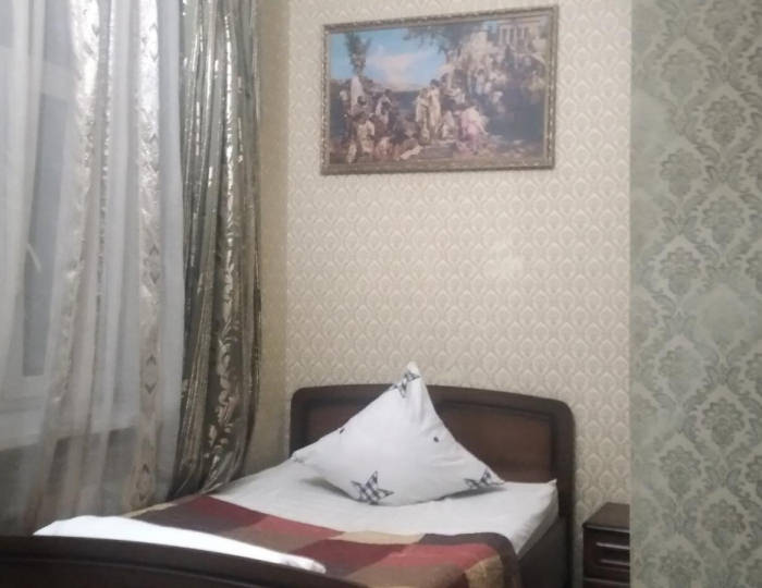 Номер стандарт с 1 двуспальной кроватью - Отель «Парнас» Елец
