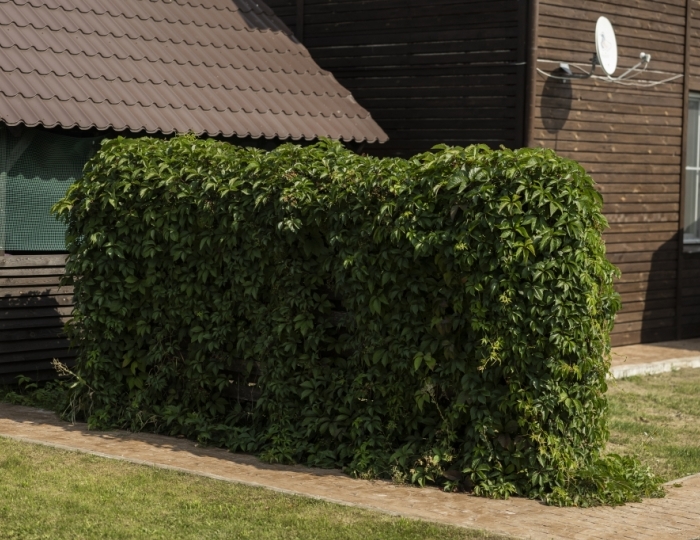 Апарт-отель «Арнеево»