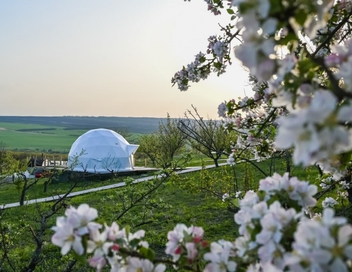 Глэмпинг The Garden / Гарден