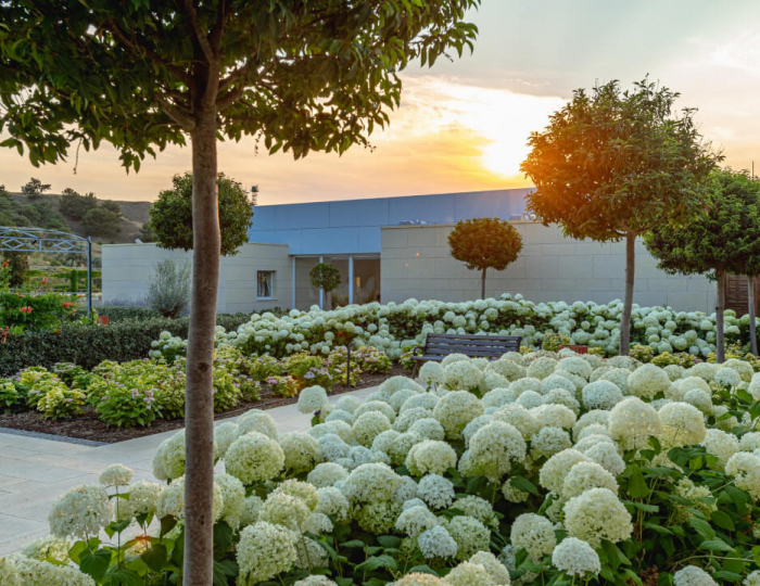 Отель «Рассветы Закаты» (ex. санаторий «Черноморец»)