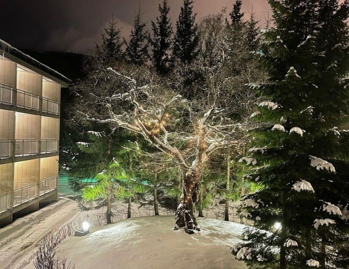 Гостиница Santa Resort Hotel / Санта Ризот Южно-Сахалинск