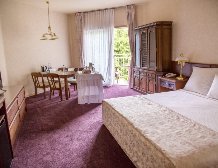 Студия (с завтраком) - Гостиница Santa Resort Hotel / Санта Ризот Южно-Сахалинск