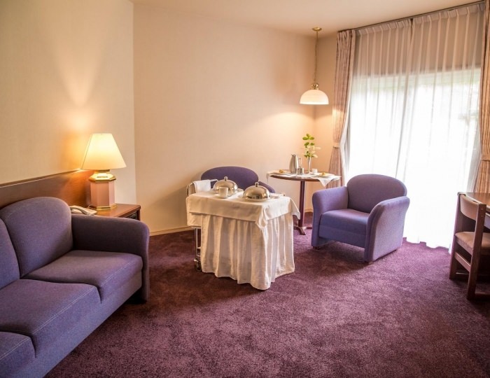Двухместный Connect (с завтраком) - Гостиница Santa Resort Hotel / Санта Ризот Южно-Сахалинск