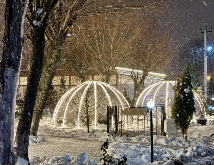 Отель «Москва Отель Холидеи Коллекшен» Картмазово