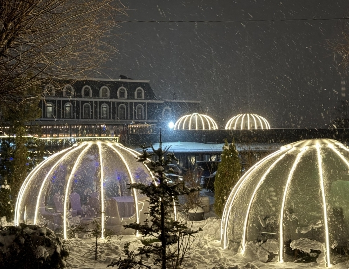 Отель «Москва Отель Холидеи Коллекшен» Картмазово
