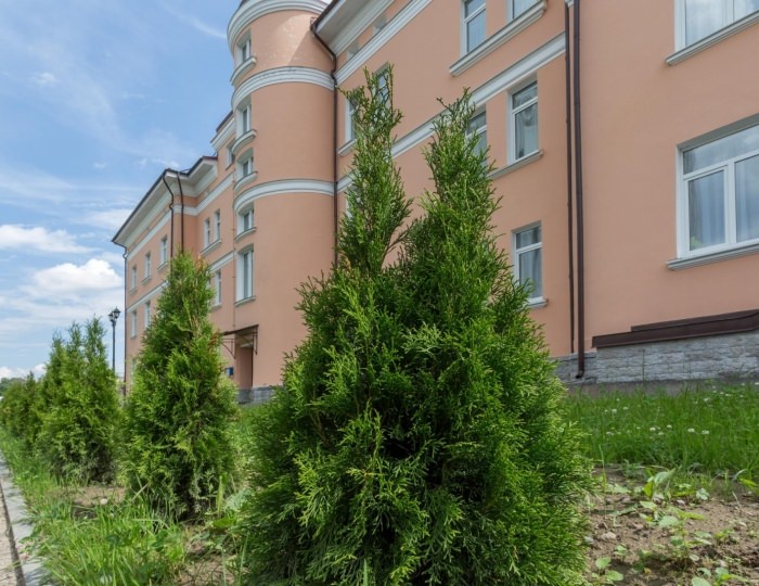 Гостиница AvetPark / АветПарк