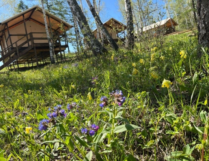 Глэмпинг «Шале в экопарке Глэмпинг Наедине» Зеленая Поляна