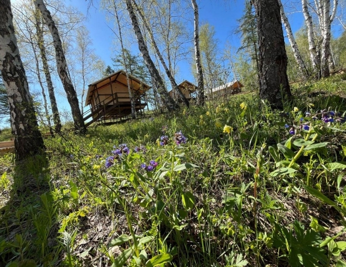 Глэмпинг «Шале в экопарке Глэмпинг Наедине» Зеленая Поляна