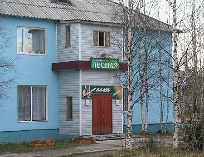 Мини-отель «Лесная» Муезерский