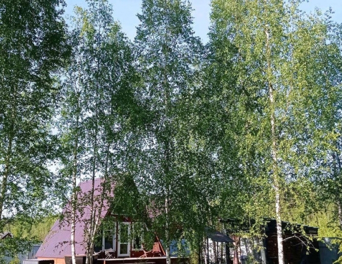 Частный дом «Hide Forest» Истра