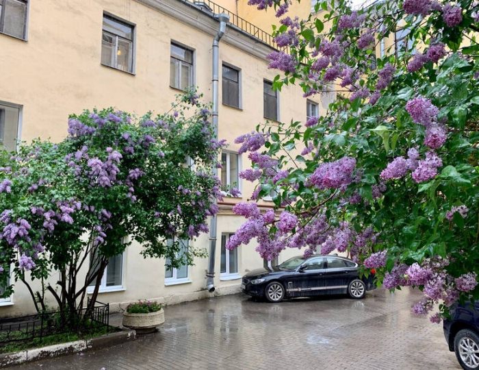 Гостевой дом «На речке» Санкт-Петербург
