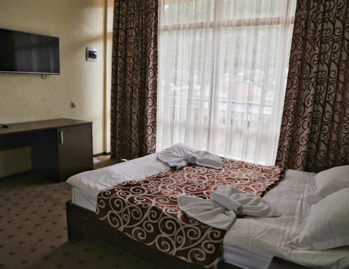 1-мест.(разм. в 2-мест.) станд. комфорт - Отель «Hometel Ilana» Гагра
