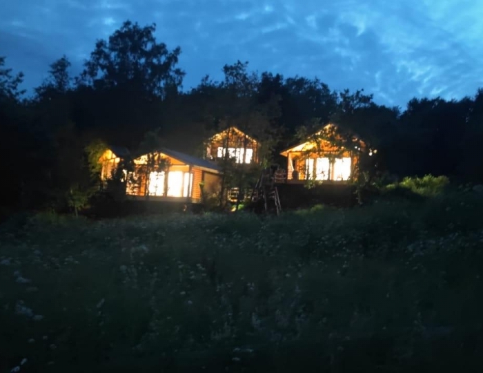 Коттедж «Веселые гуси» Руза