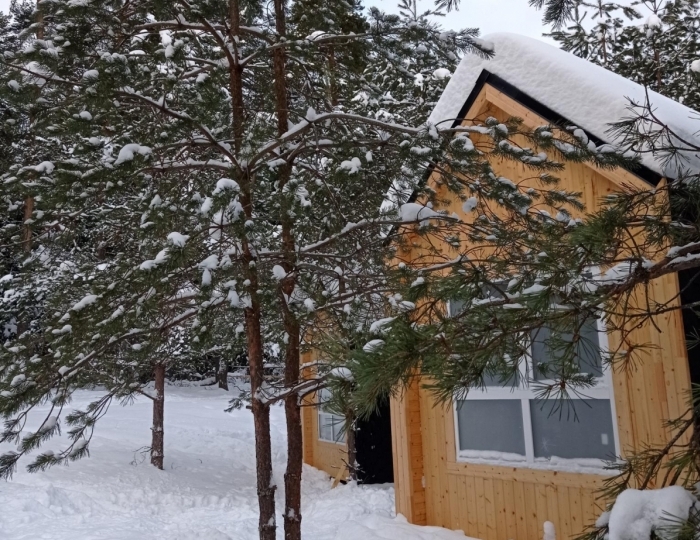 Глэмпинг «ЕлиСосны» Дубна