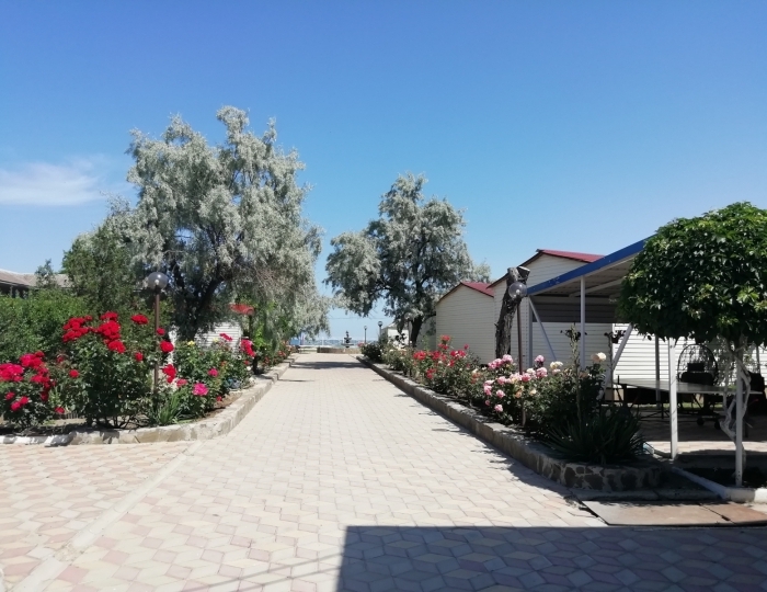 База отдыха «Антей»