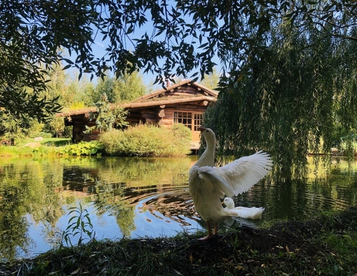 Мини-отель «Таежный» Раменское