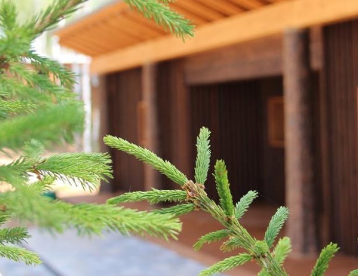 База отдыха «Лисья нора» Игнатово