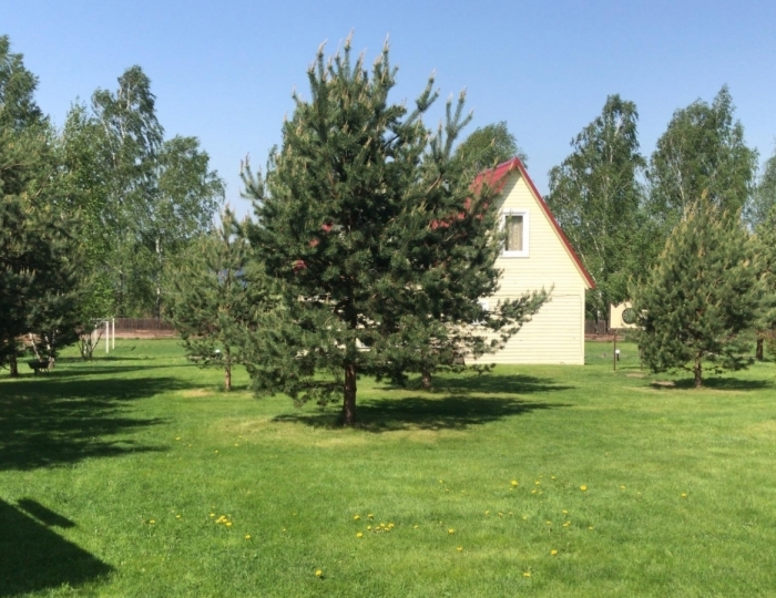 База отдыха «Дункан» Дубна