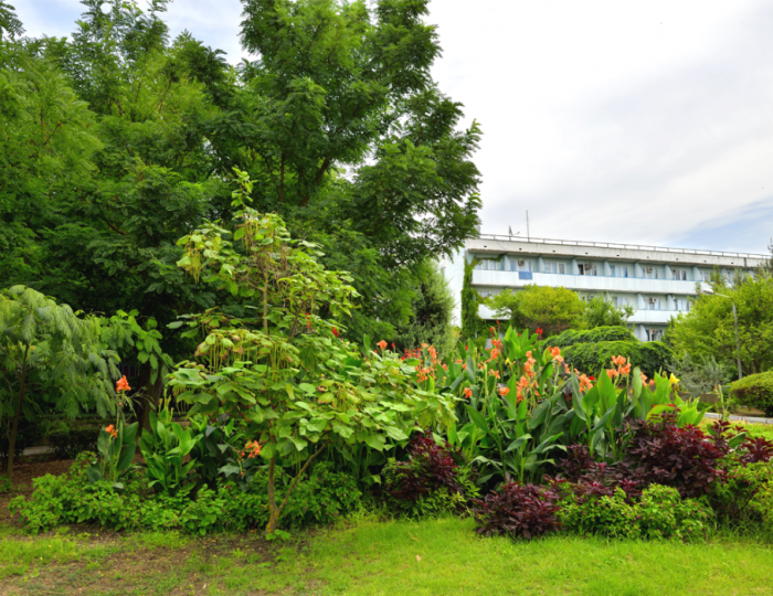 Пансионат «Крымское Приазовье» Мысовое