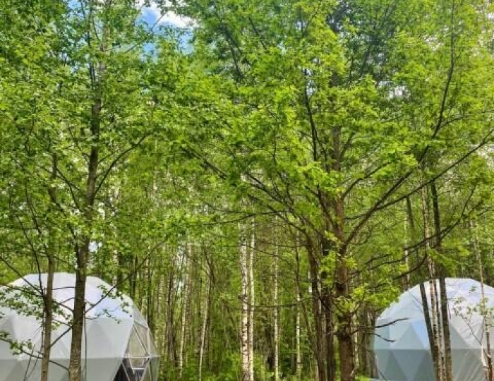 Глэмпинг «Озеро Ле» Дубна