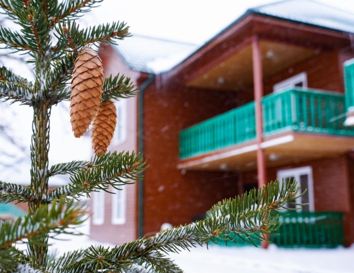 База отдыха «Арсеньево» Нижнее Сосково