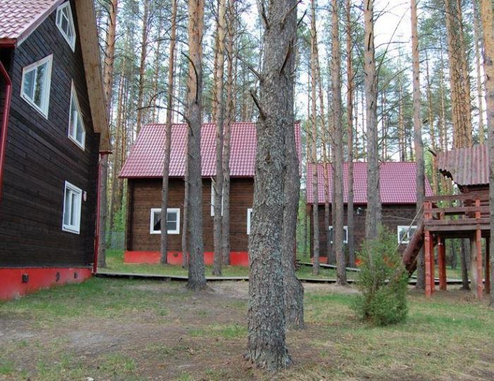 База отдыха «Ягодная деревушка» Мериново