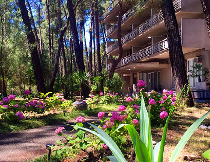 Пансионат «Лдзаа Госдача» Пицунда