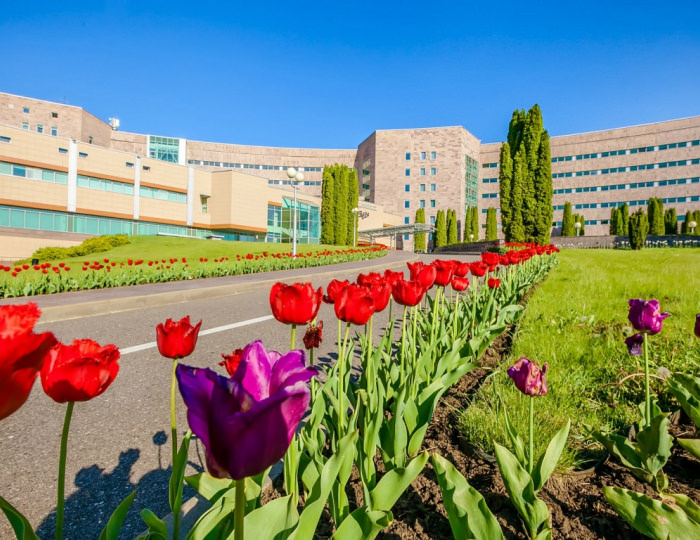 Санаторий «Заря» Кисловодск