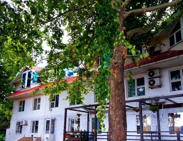 Пансионат «Уральские самоцветы» Анапа