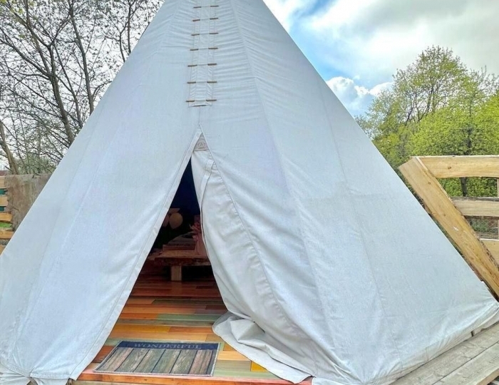 Глэмпинг «Семейная мини-ферма Фазенда» Ваюхино