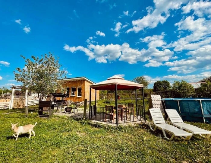 Глэмпинг «Семейная мини-ферма Фазенда» Ваюхино