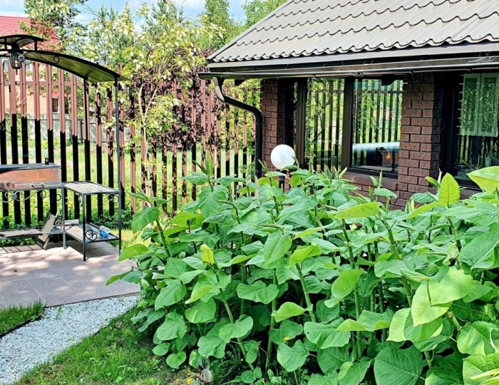 Коттедж «Зелёный дворик» Сергиев Посад