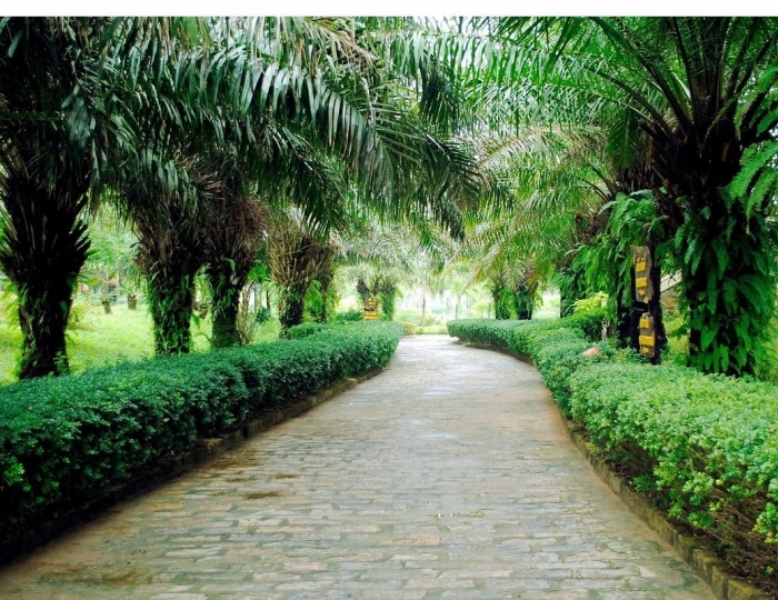 Tropical Beach Hoi An Resort 4 звезды, Хойан, Вьетнам