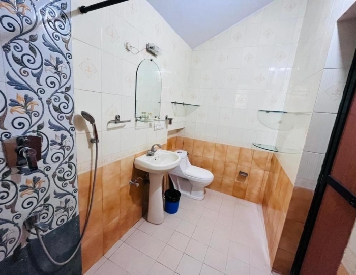 Naga Cottages 2 звезды, Морджим, Индия