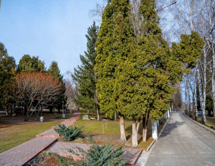 «Клинический санаторий им. Горького» Воронеж