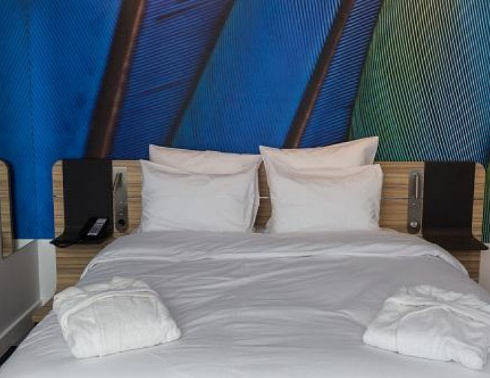 Номер стандарт с 1 двуспальной кроватью - Отель Novotel Arkhangelsk / Новотель Архангельск