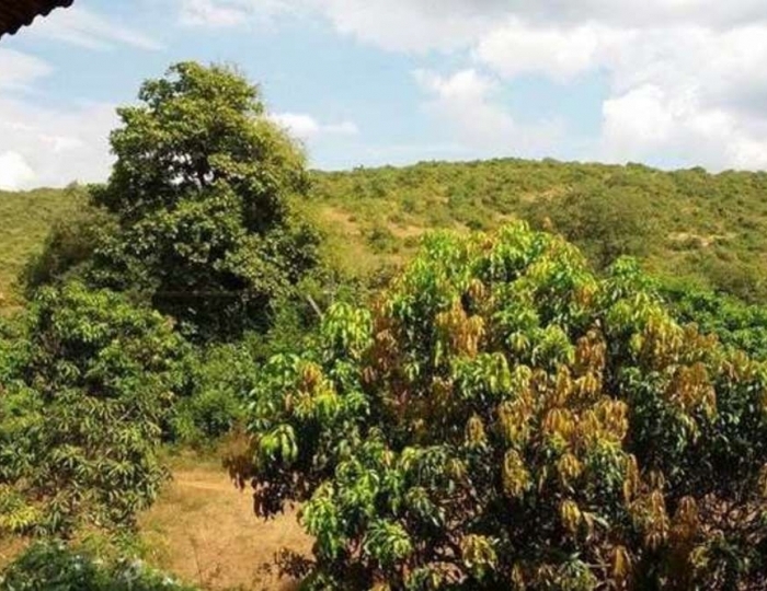 Pirache Homes 2 звезды, Морджим, Индия