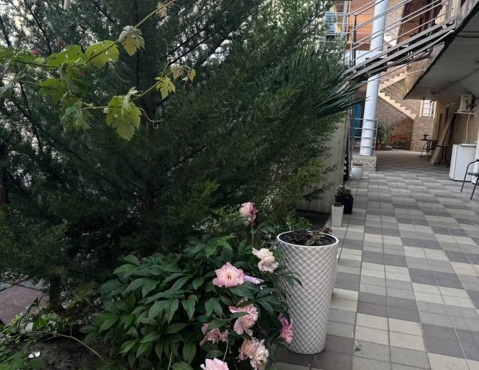 Гостевой дом «Гармония» Анапа