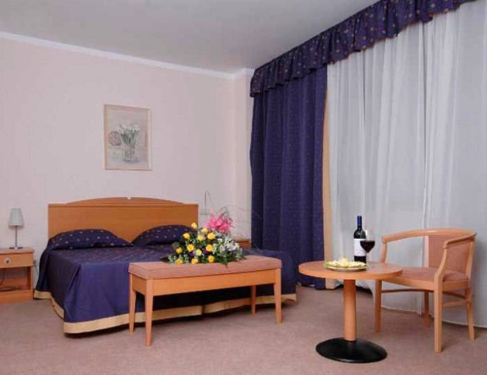 Джуниор сюит 2-мест. (к. Морской) - Санаторий «Русь» Сочи