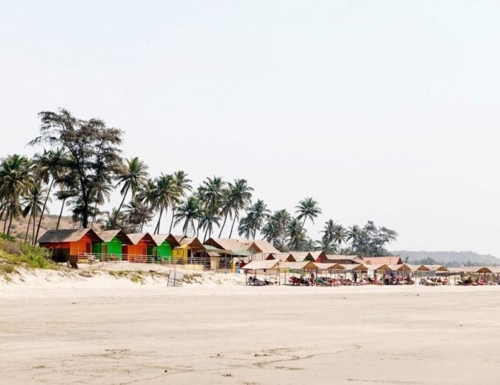 Blue Sea, Морджим, Индия