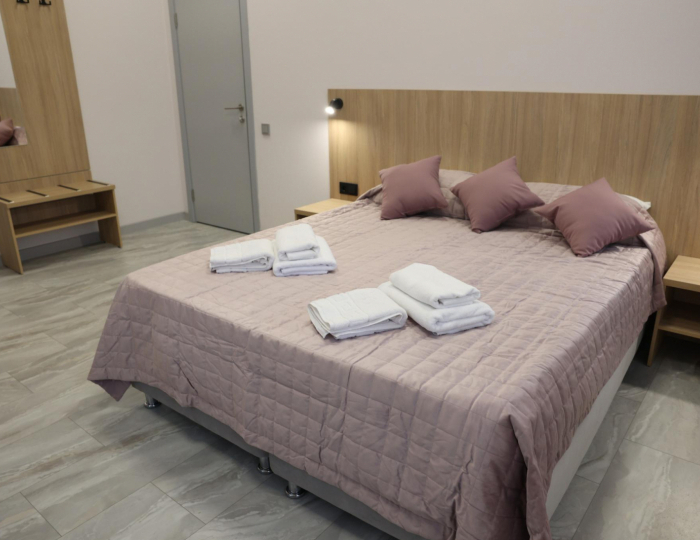 2-местный номер стандарт улучшенный - Отель «ДУБос» Дубна