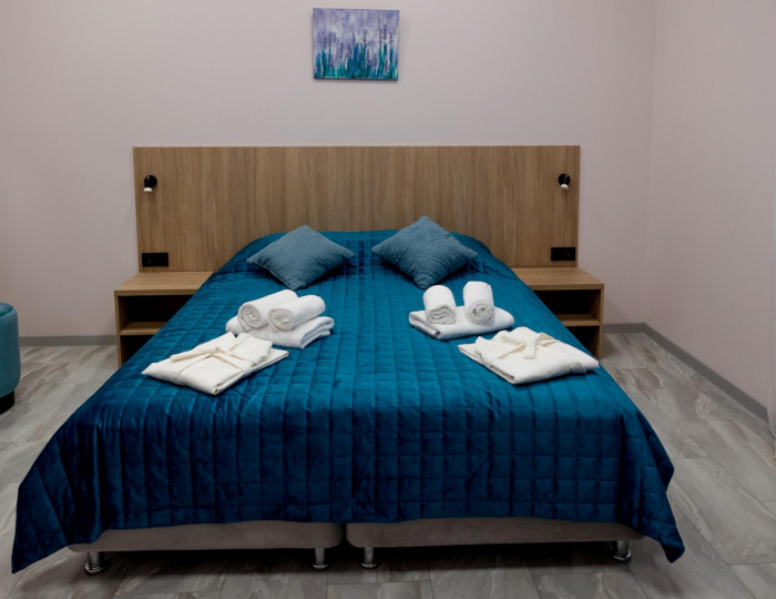 2-местный номер полулюкс Плюс - Отель «ДУБос» Дубна