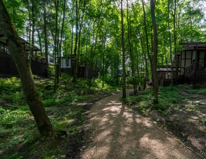 Курортный отель «Истра» Лечищево