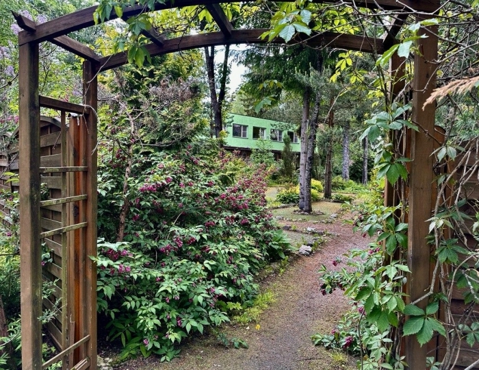 Отель «Парк Отель Forest Relax» Всеволожск