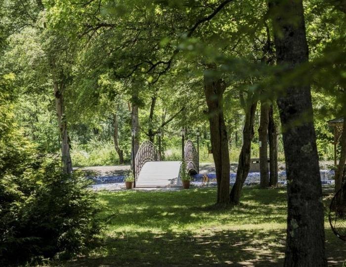Отель Borjomi Likani Health & Spa Centre / Боржоми Ликани Хелс и СПА Центр Боржоми
