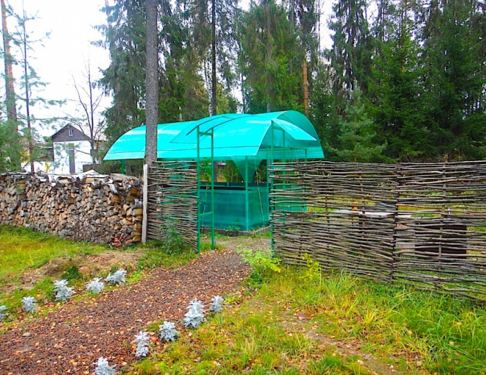 Зеленая площадка с мангалом - Отель Country Resort / Кантри Резорт