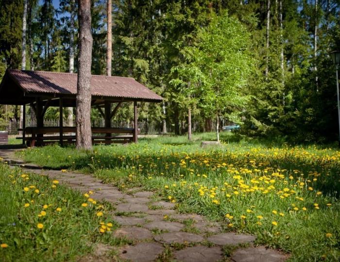 Большая площадка с мангалом - Отель Country Resort / Кантри Резорт