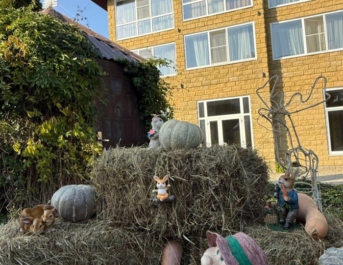 Гостевой дом «Дом кролика» Даховская